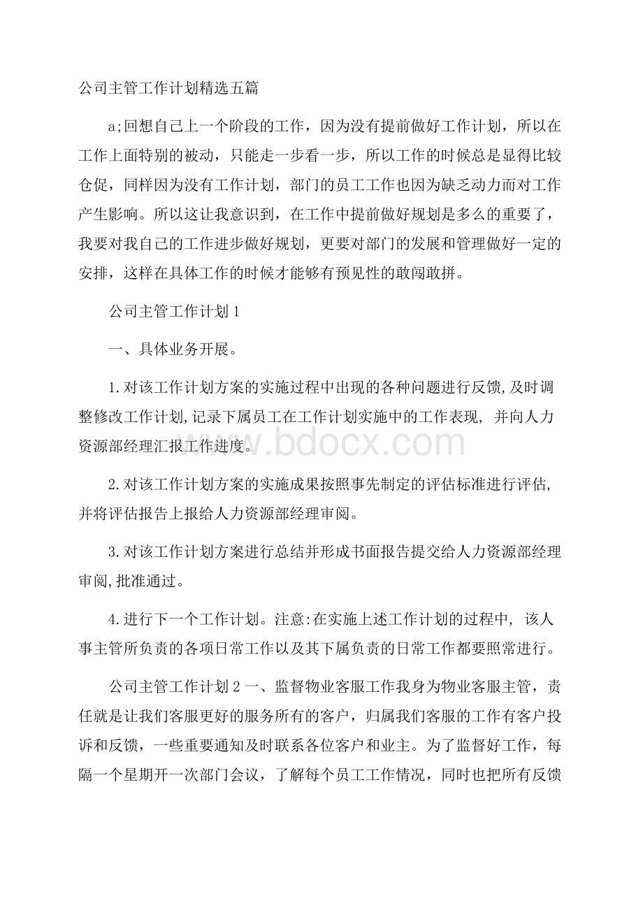 公司主管工作计划精选五篇.docx