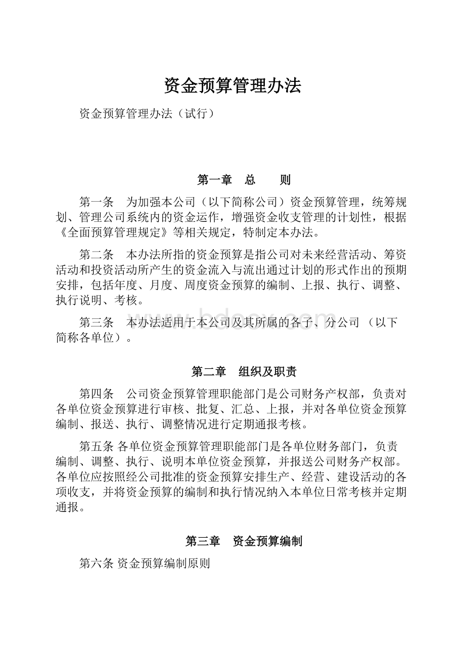 资金预算管理办法.docx_第1页