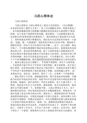 习武心得体会.docx