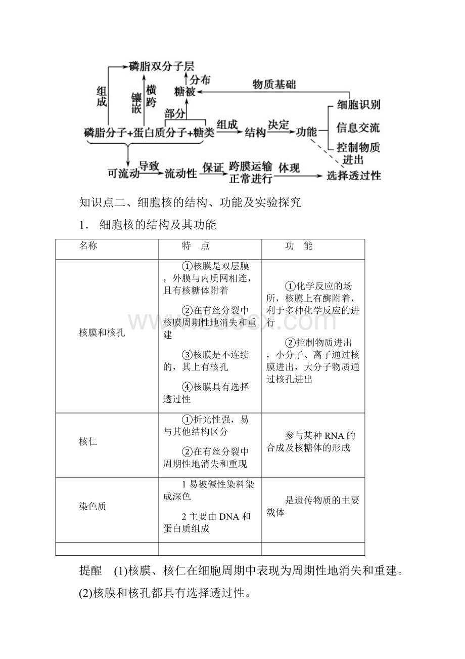 高一生物人教新课标版必修一知识梳理第三章细胞的基本结构期末知识梳理.docx_第3页