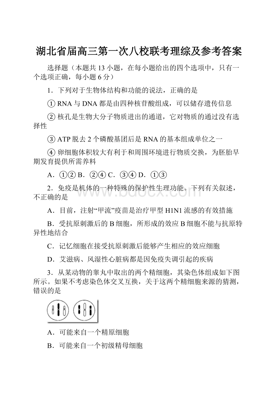 湖北省届高三第一次八校联考理综及参考答案.docx