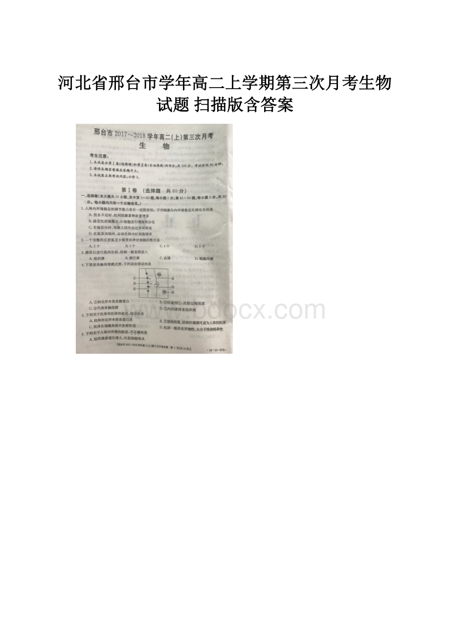 河北省邢台市学年高二上学期第三次月考生物试题 扫描版含答案.docx_第1页