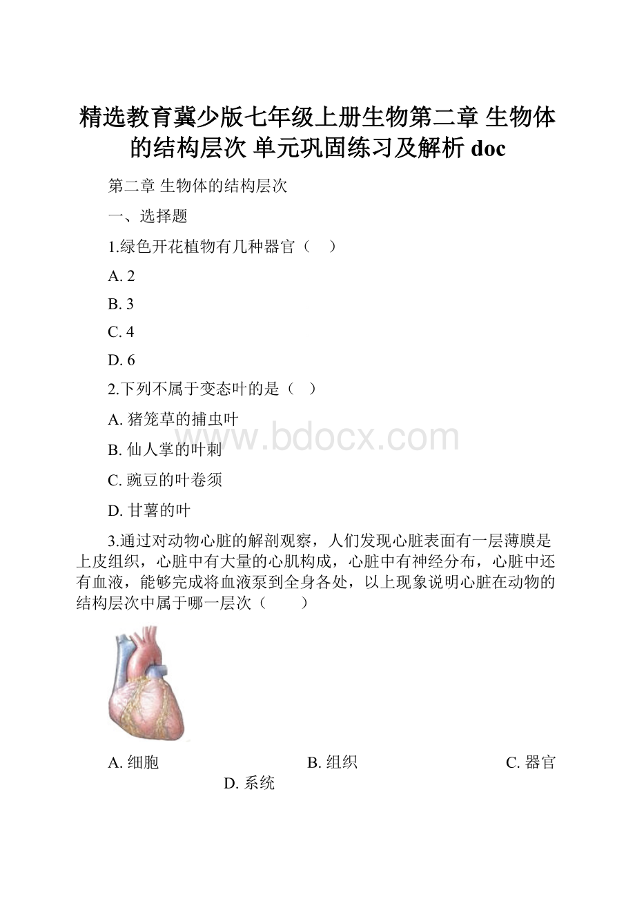 精选教育冀少版七年级上册生物第二章 生物体的结构层次 单元巩固练习及解析doc.docx_第1页