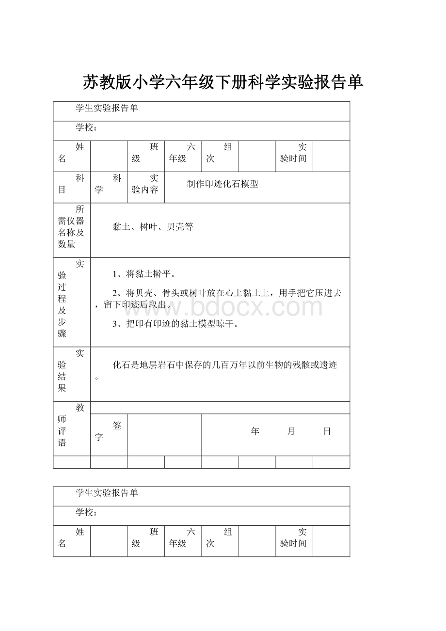 苏教版小学六年级下册科学实验报告单.docx