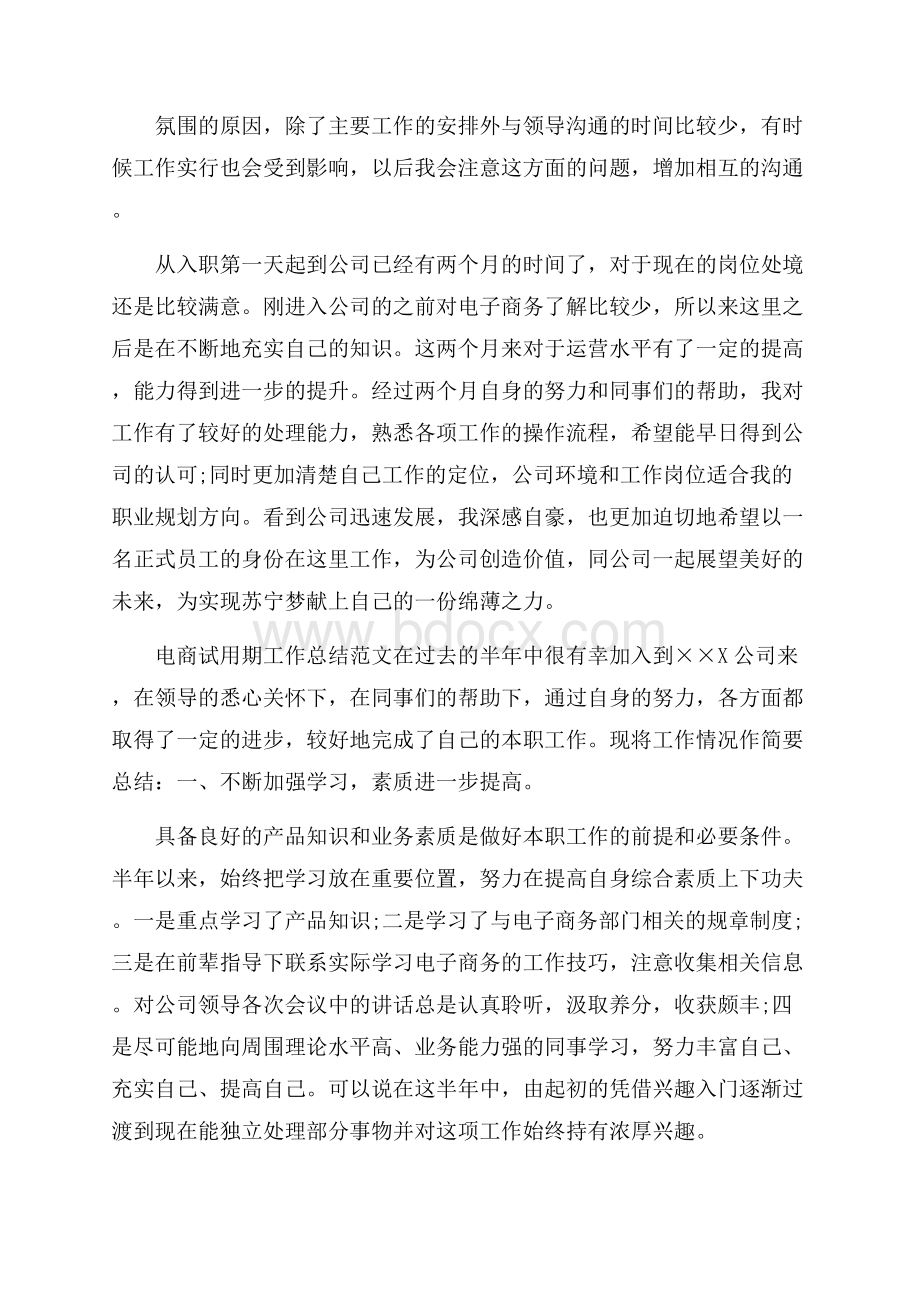 电商试用期工作总结范文试用期工作总结.docx_第2页