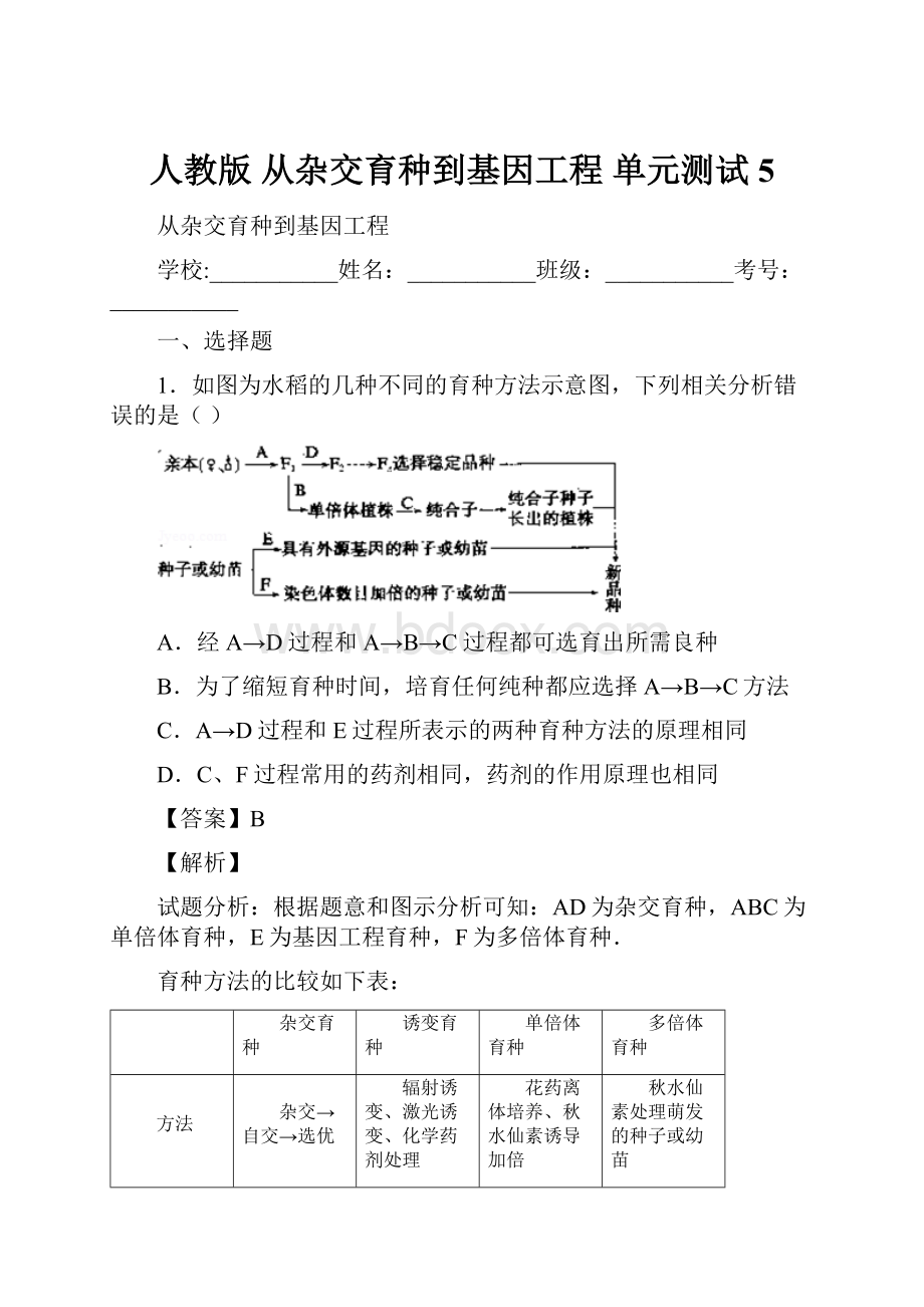 人教版 从杂交育种到基因工程 单元测试 5.docx_第1页