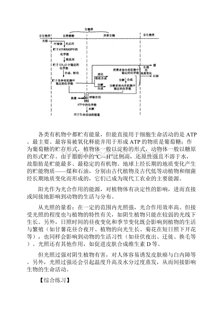 24光合作用.docx_第3页