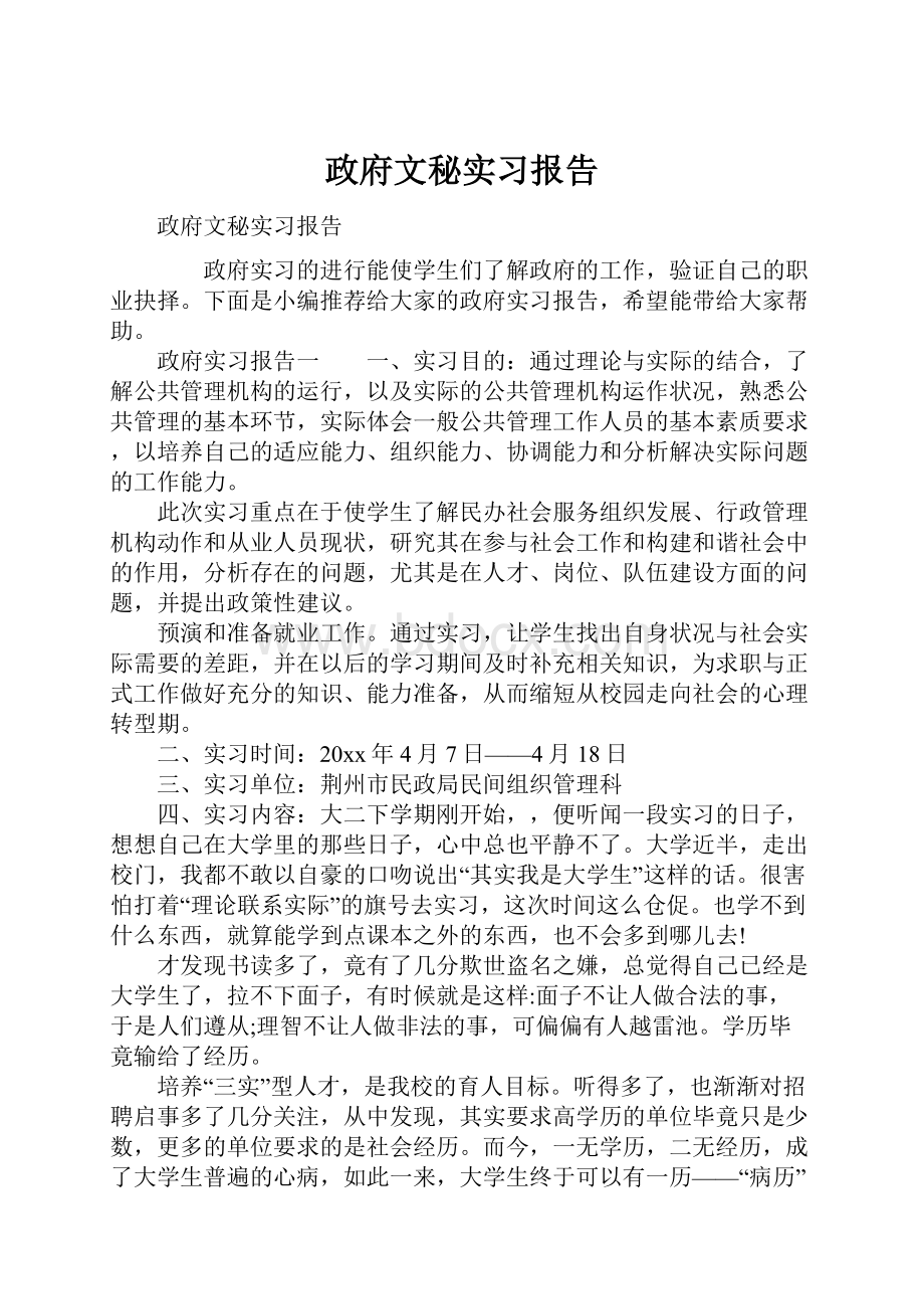 政府文秘实习报告.docx