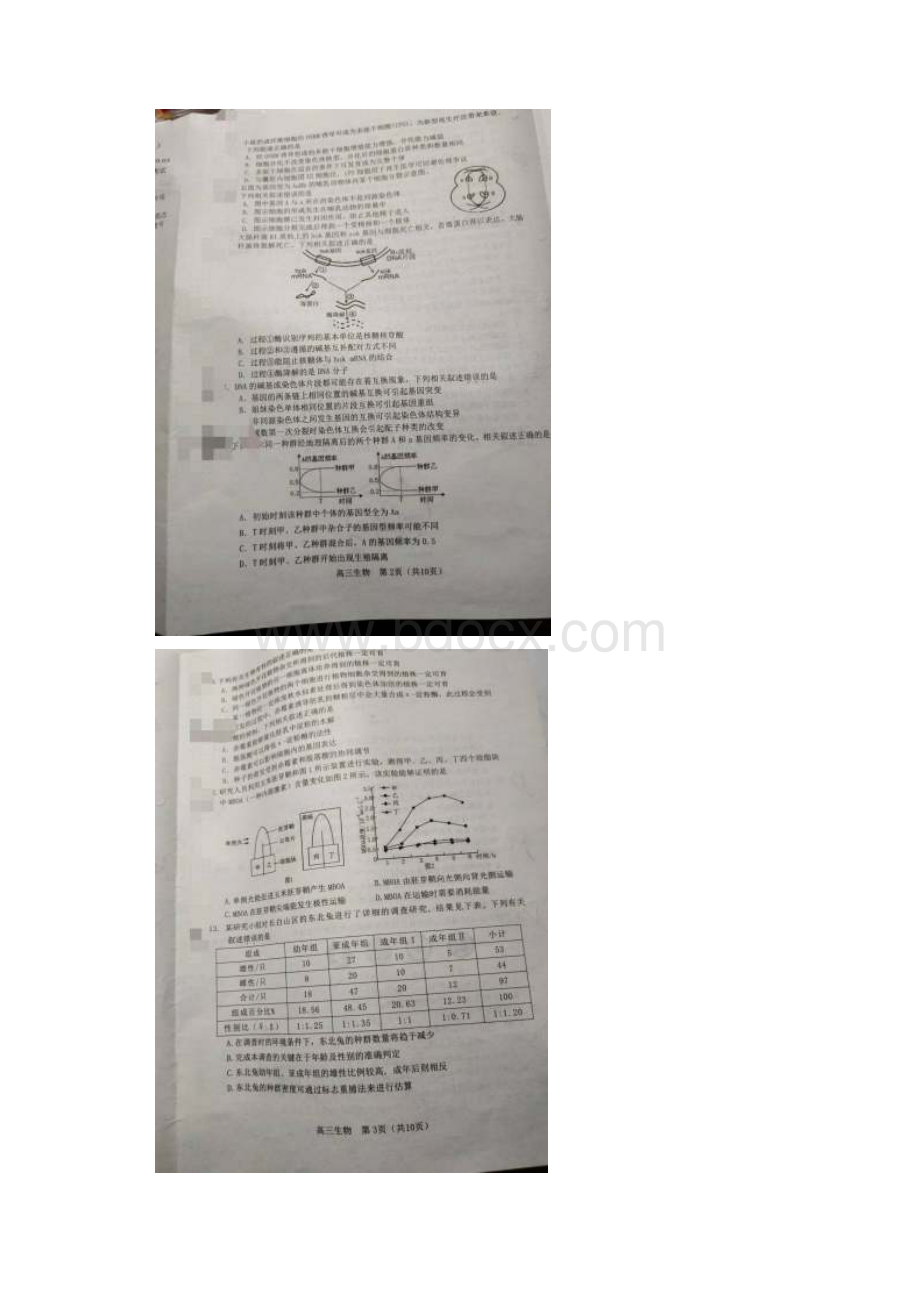 苏锡常镇一模生物卷.docx_第2页