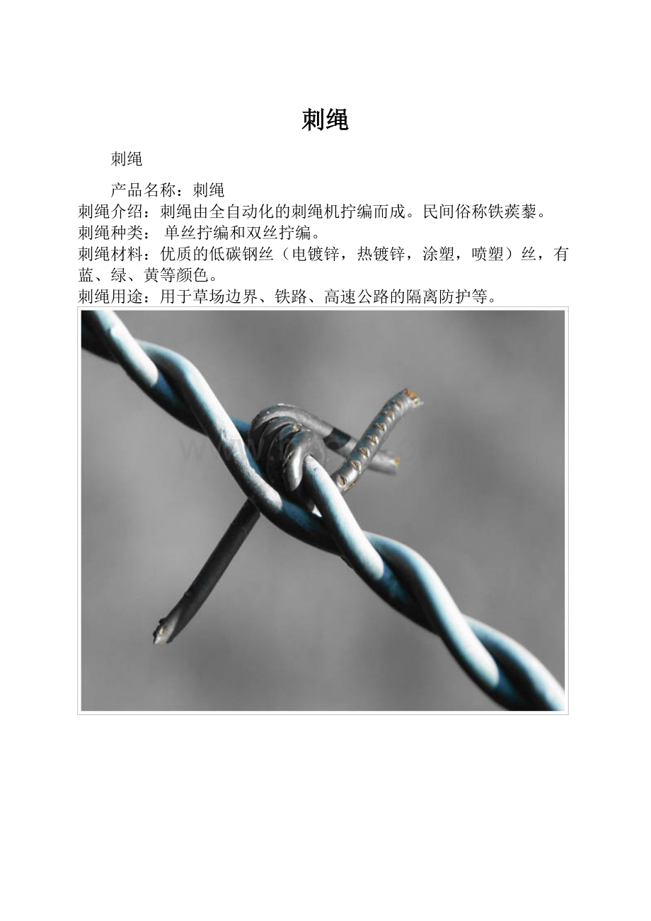 刺绳.docx_第1页