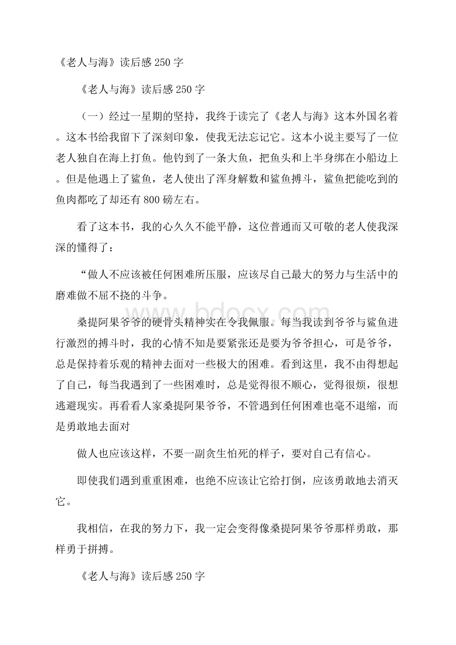 《老人与海》读后感250字.docx