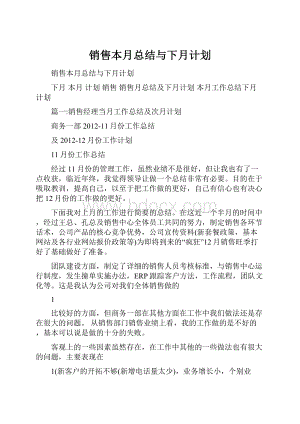 销售本月总结与下月计划.docx