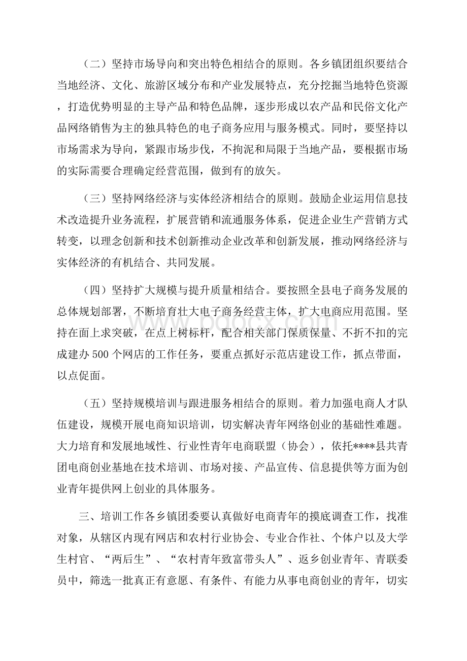 关于大力推进全县共青团系统电子商务产业发展的实施方案.docx_第2页