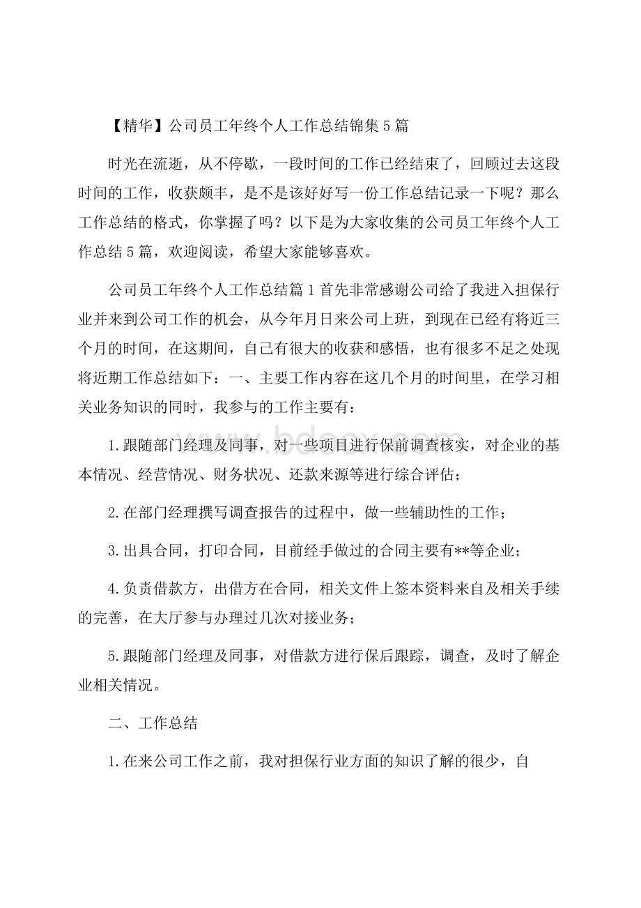 精华公司员工年终个人工作总结锦集5篇.docx