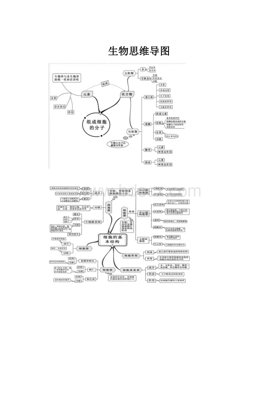 生物思维导图.docx_第1页