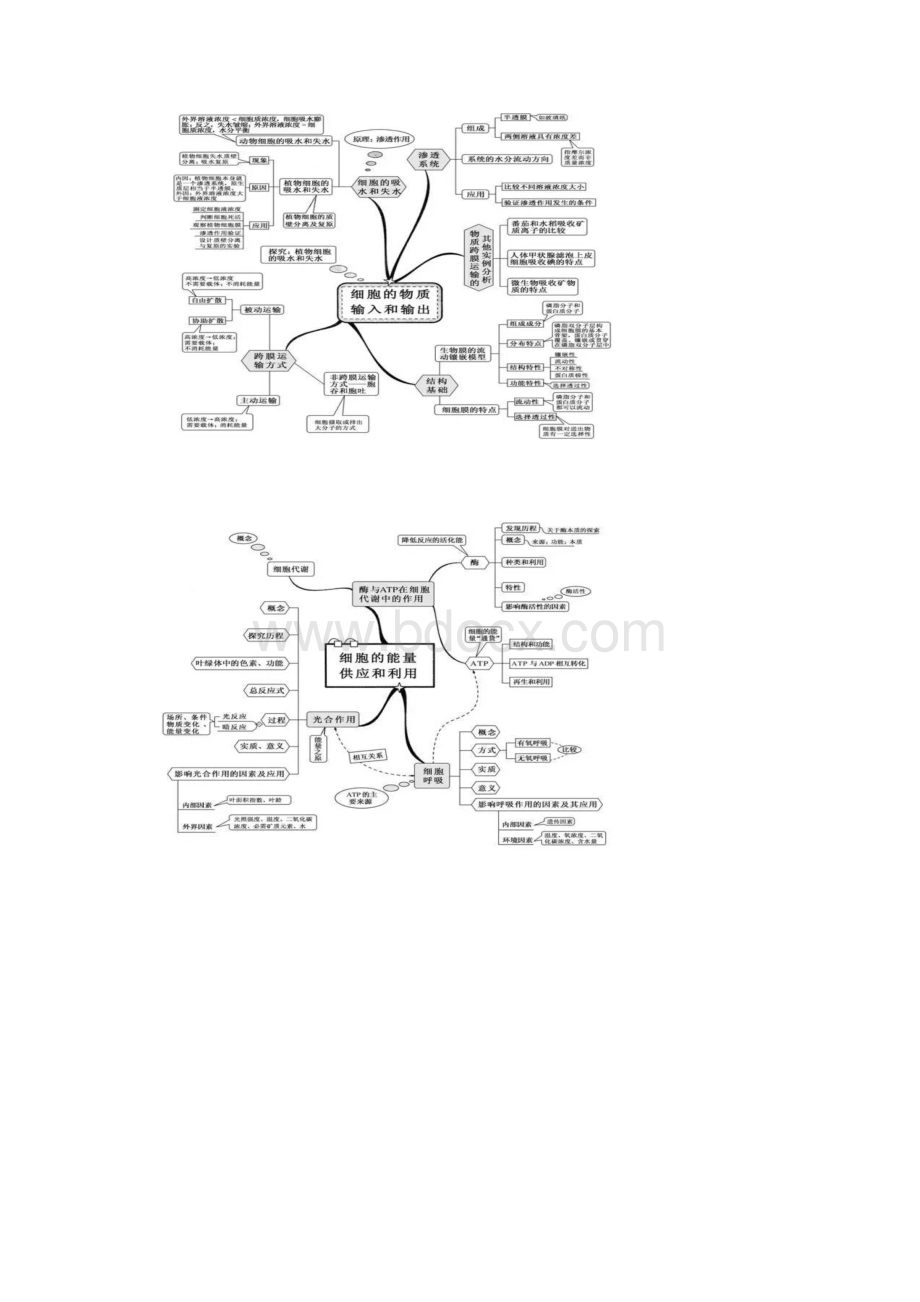 生物思维导图.docx_第2页