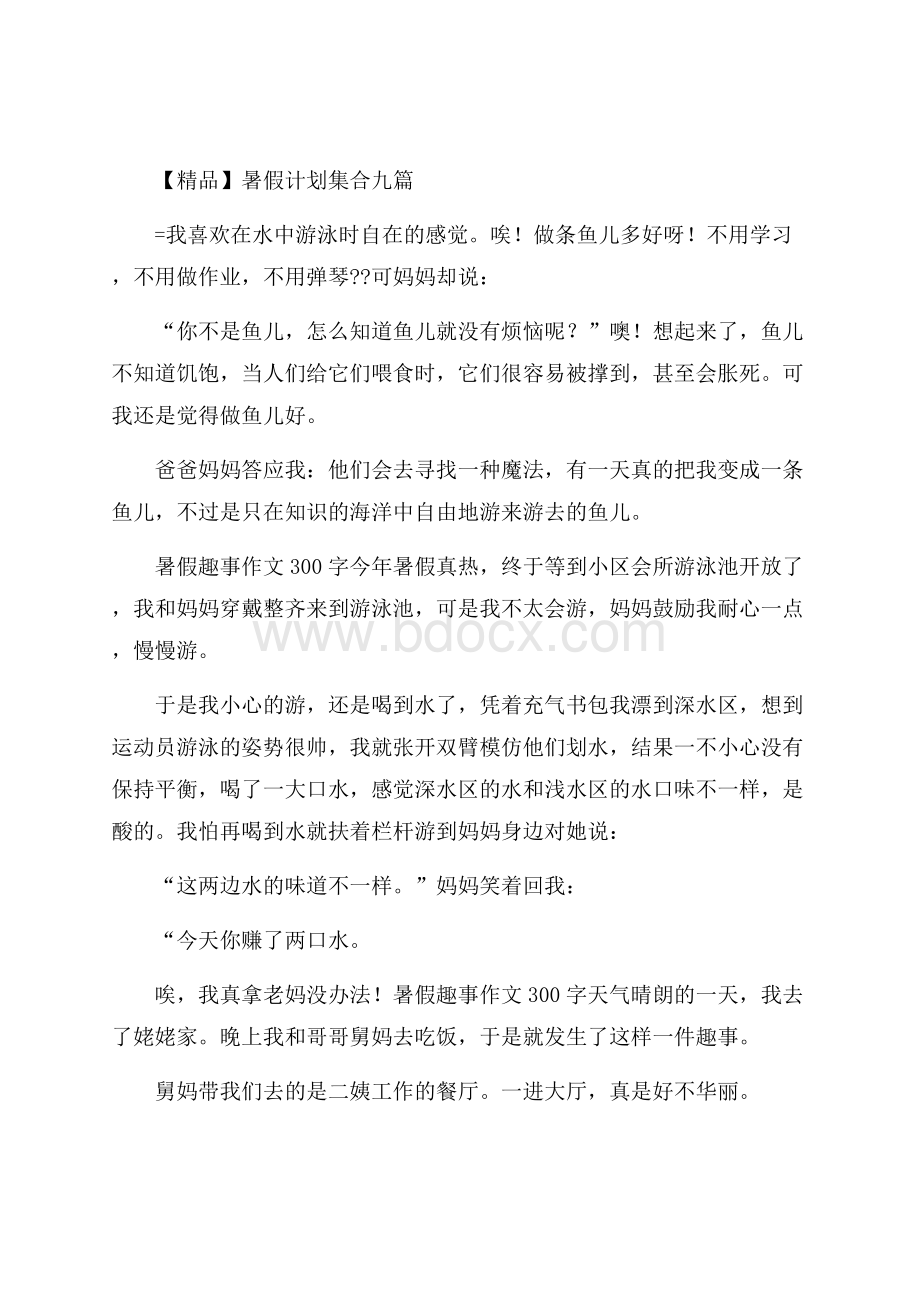 精品暑假计划集合九篇.docx_第1页