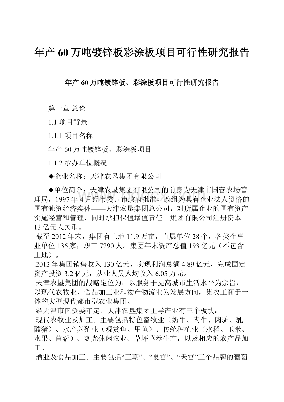 年产60万吨镀锌板彩涂板项目可行性研究报告.docx