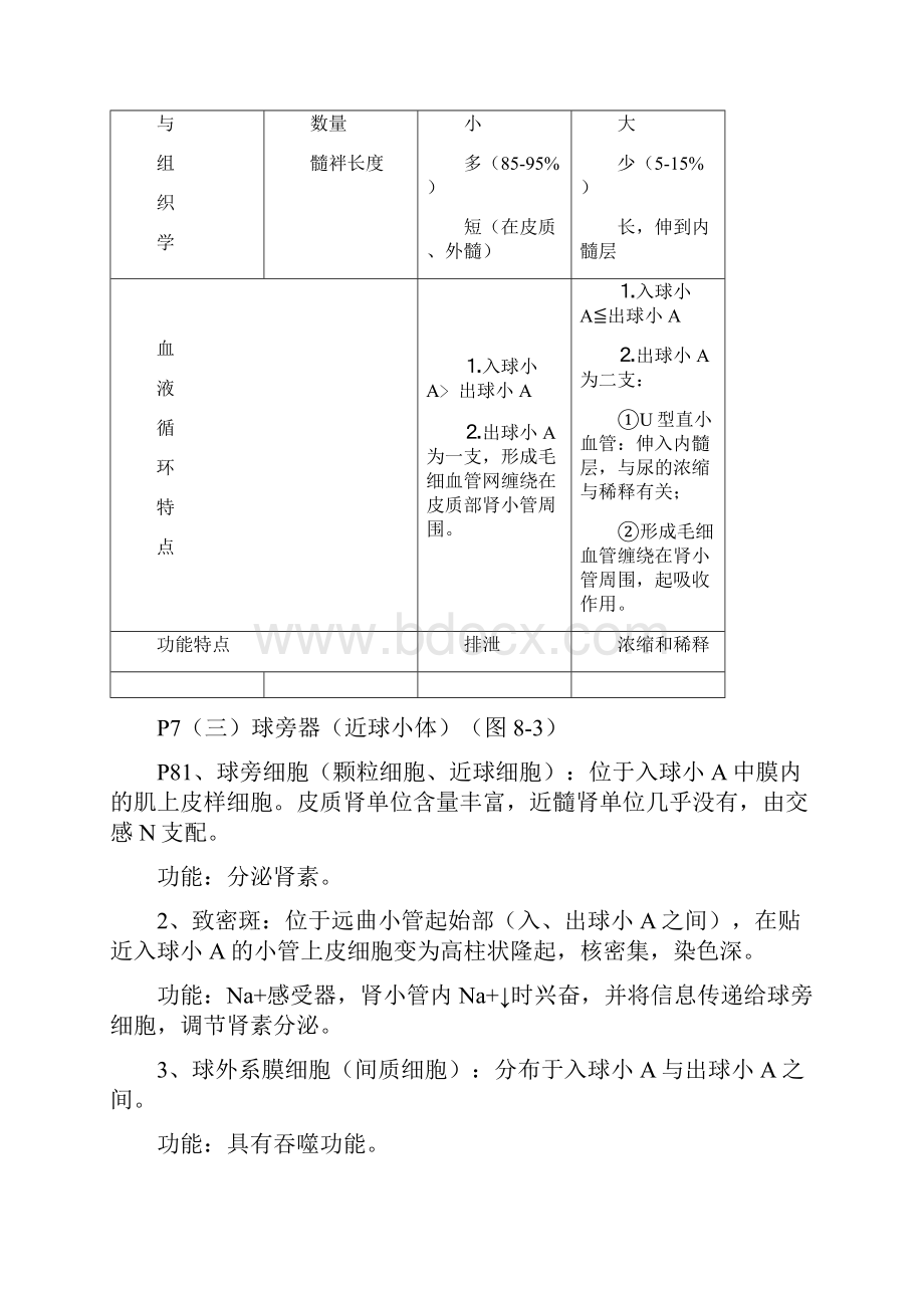 整理第八章排泄.docx_第3页