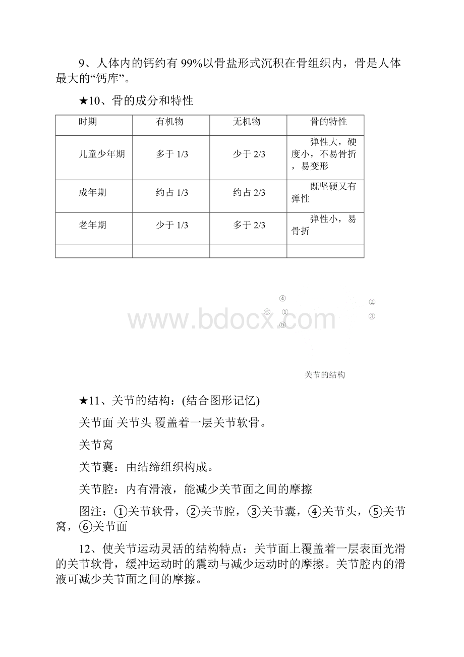 北师大版八年级上册生物知识点总结1.docx_第3页