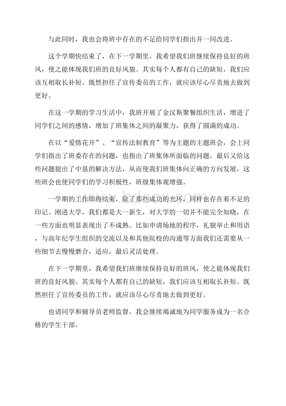 宣传委员个人工作总结.docx_第2页