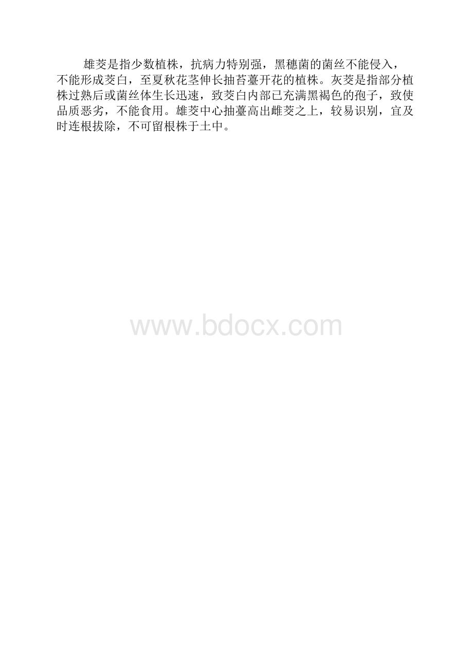 单季茭白规范化栽培技术doc.docx_第3页