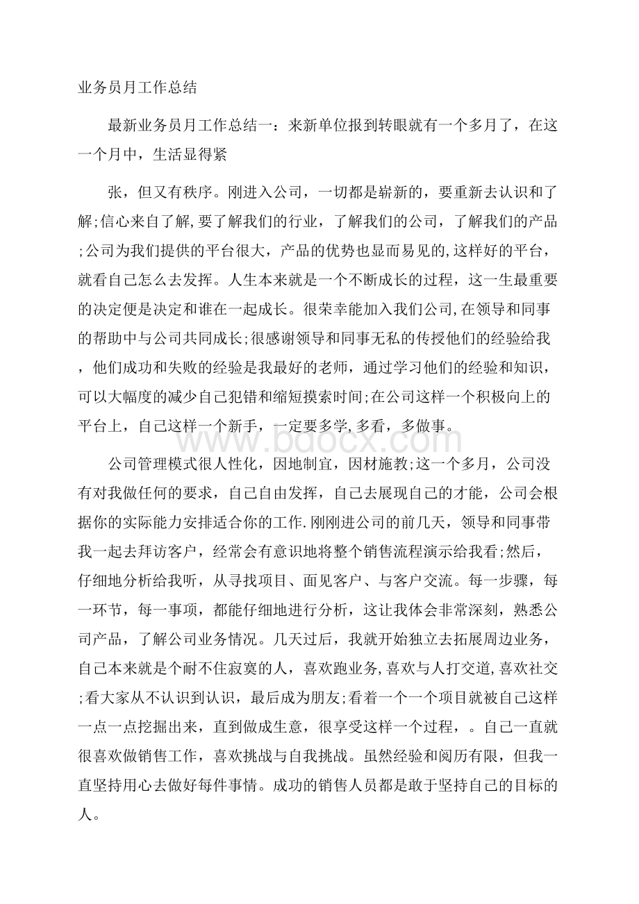 业务员月工作总结.docx_第1页