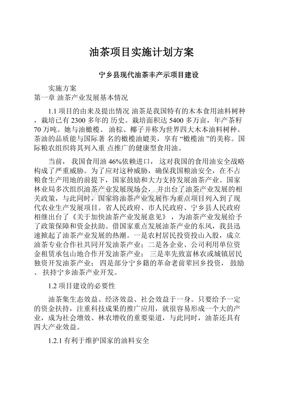 油茶项目实施计划方案.docx_第1页