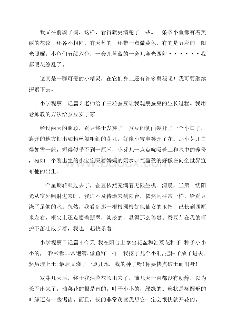 精品小学观察日记汇编七篇.docx_第2页