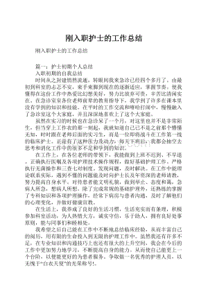 刚入职护士的工作总结.docx