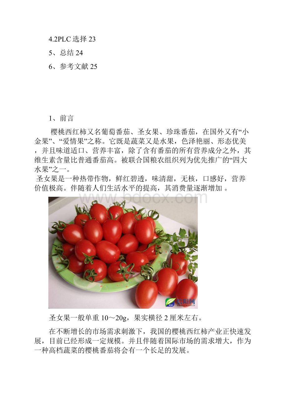 樱桃西红柿分拣机控制系统设计.docx_第3页