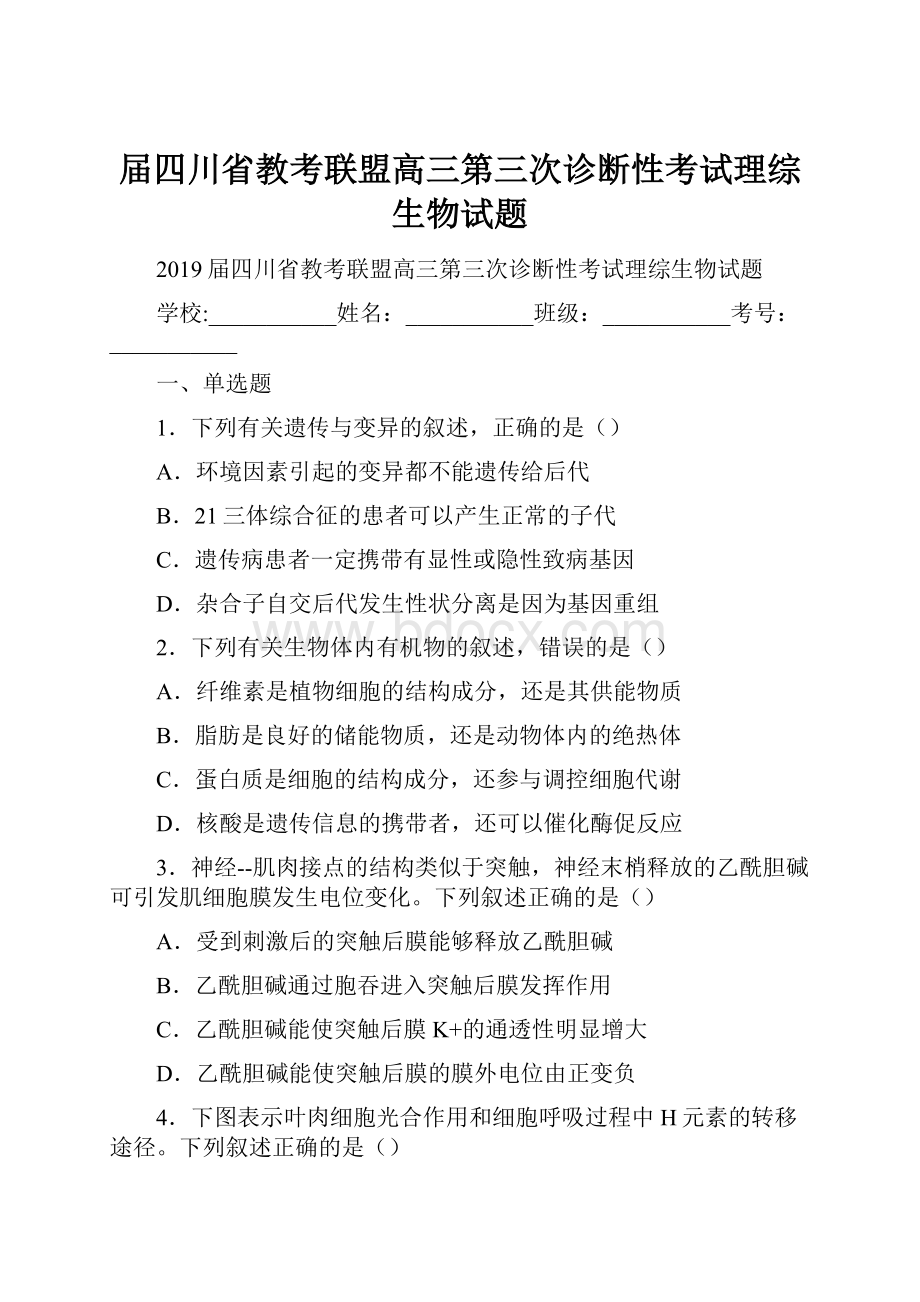 届四川省教考联盟高三第三次诊断性考试理综生物试题.docx_第1页