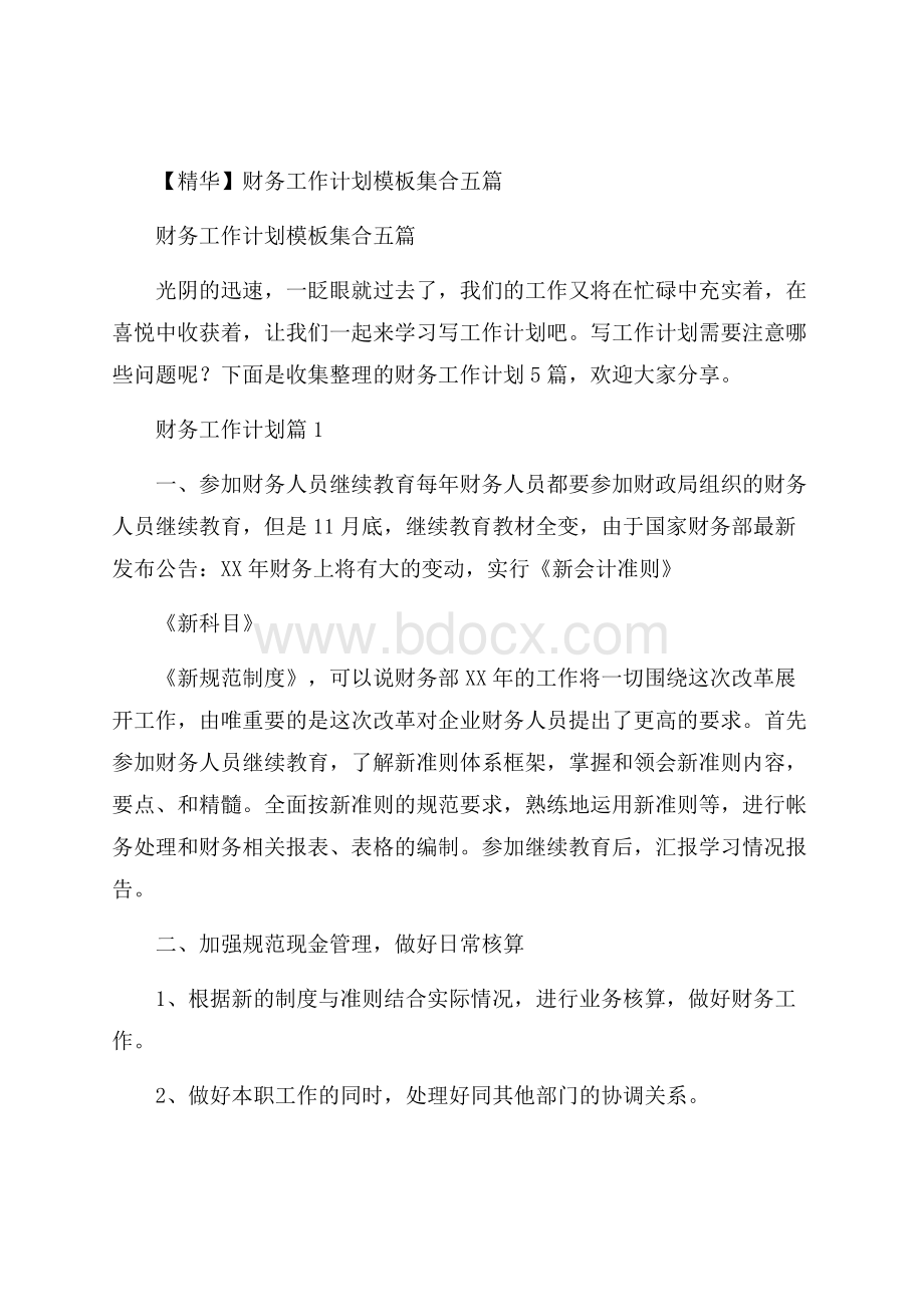 精华财务工作计划模板集合五篇.docx