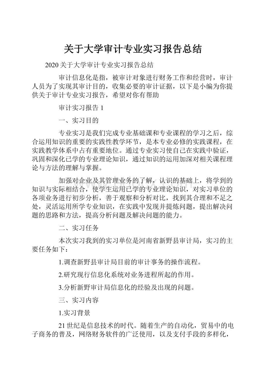 关于大学审计专业实习报告总结.docx_第1页