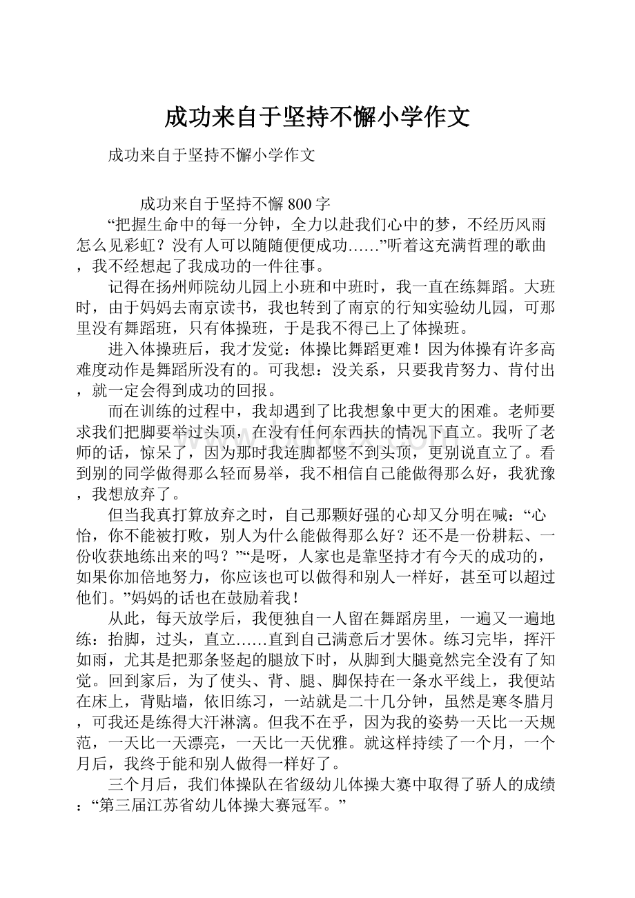 成功来自于坚持不懈小学作文.docx