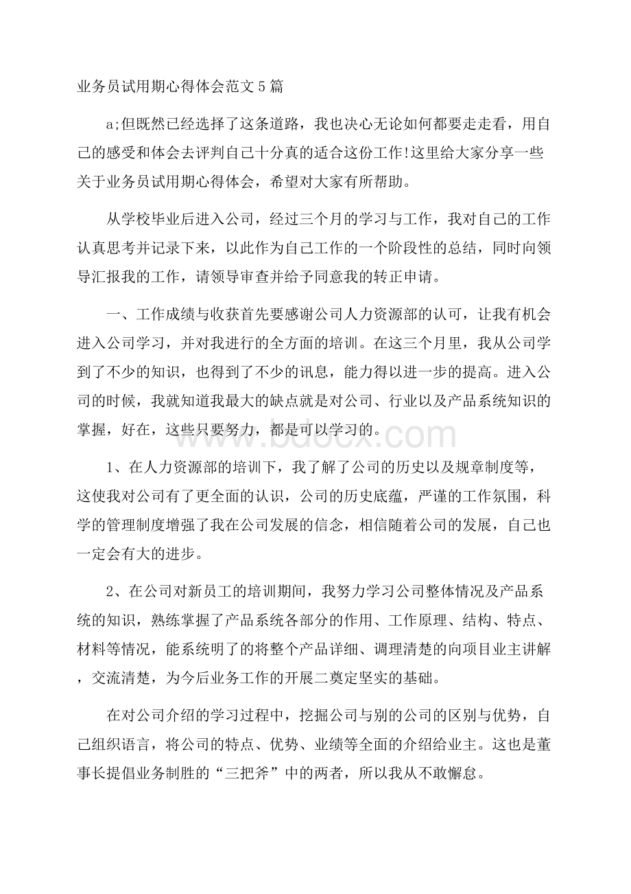 业务员试用期心得体会范文5篇.docx