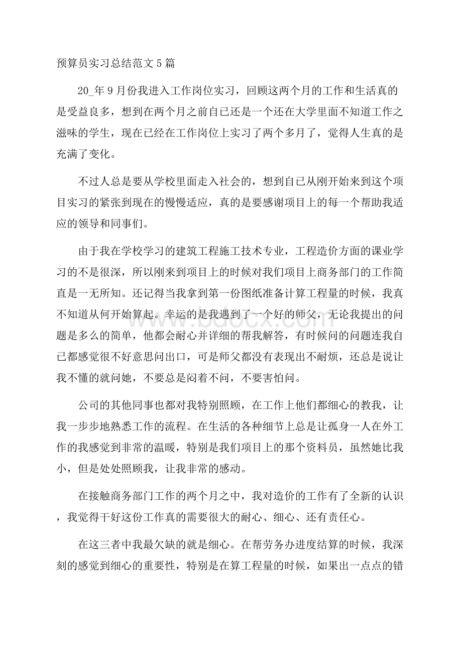 预算员实习总结范文5篇.docx