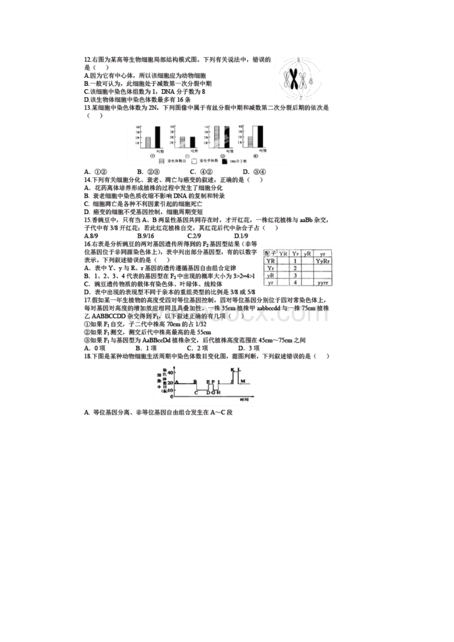 陕西省西安市西安中学届高三生物上学期第四次质量检测试题.docx_第3页