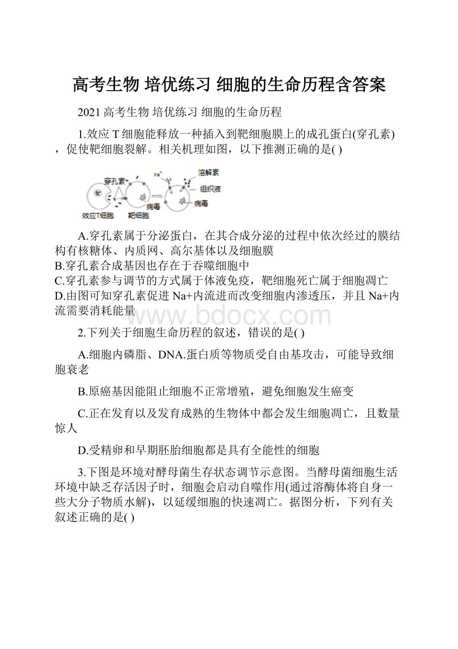 高考生物 培优练习细胞的生命历程含答案.docx