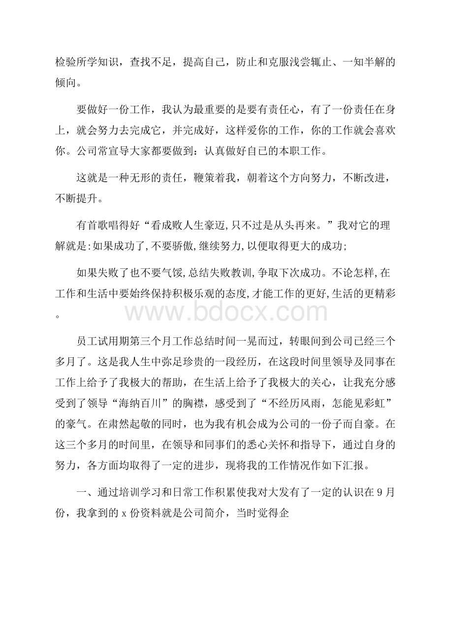 员工试用期第三个月工作总结.docx_第2页