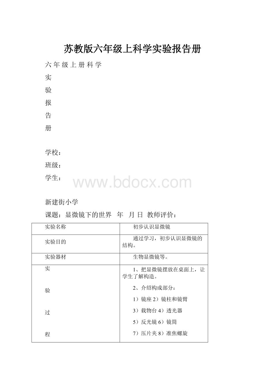 苏教版六年级上科学实验报告册.docx_第1页