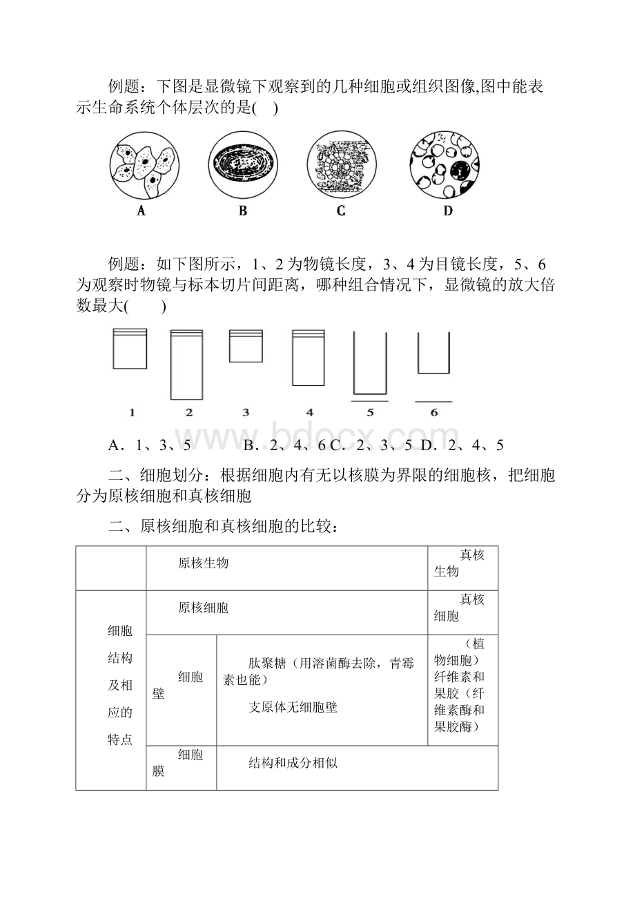 高一生物必修一期中考试复习知识点.docx_第3页