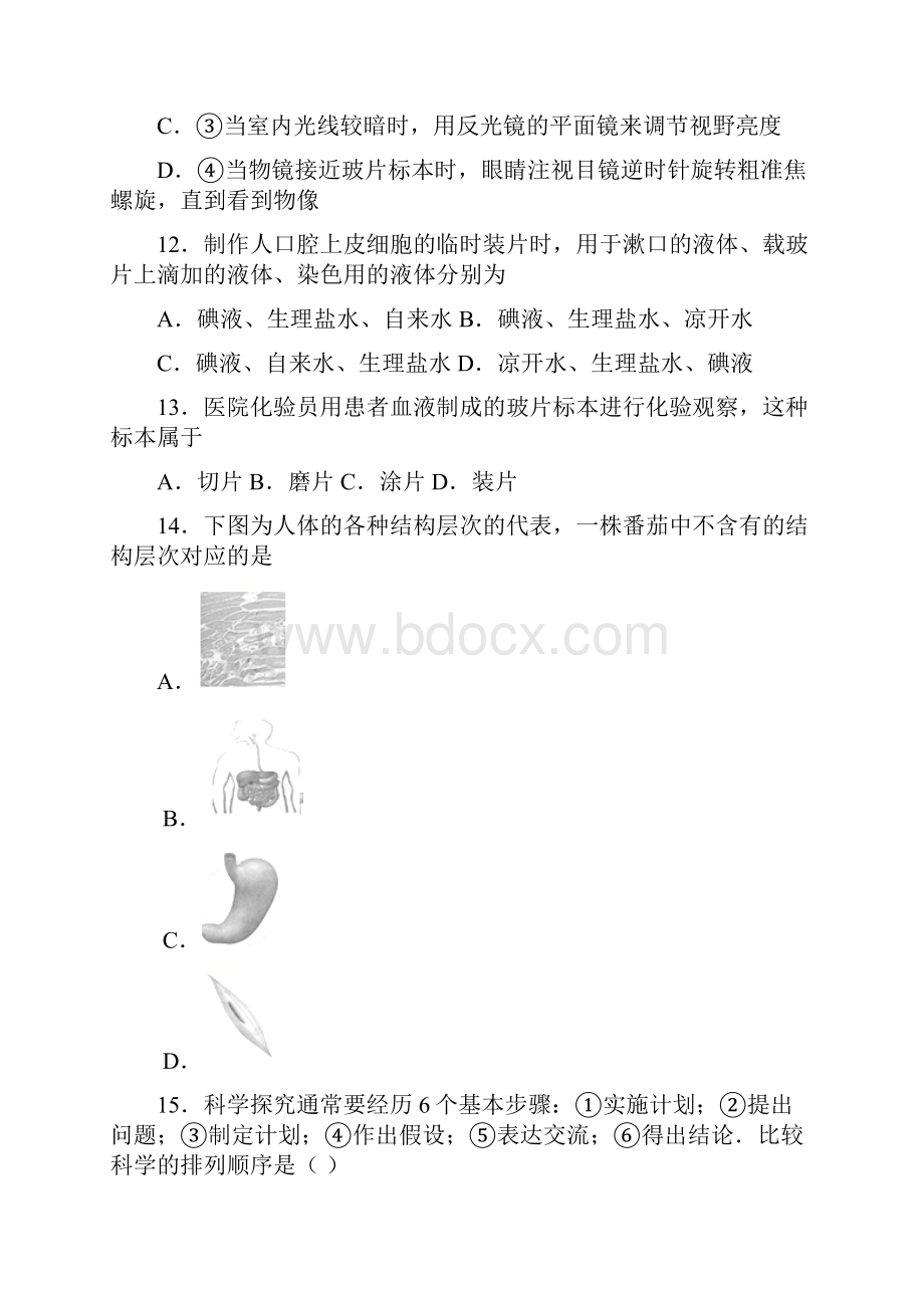 广东省东莞市寮步镇信义学校学年七年级上学期期末考试生物试题.docx_第3页