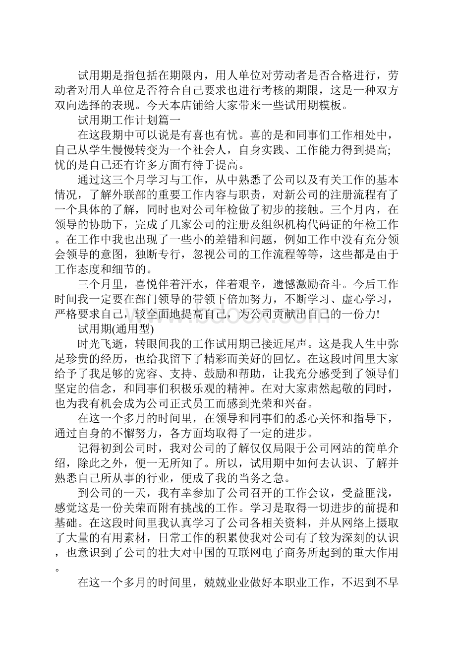 试用期最新工作计划.docx_第2页