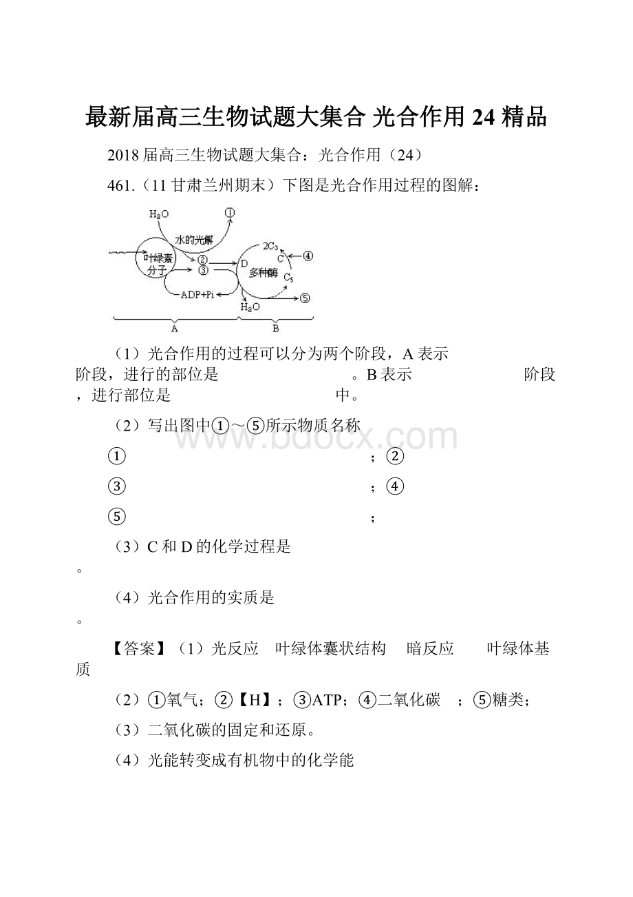 最新届高三生物试题大集合 光合作用24 精品.docx_第1页