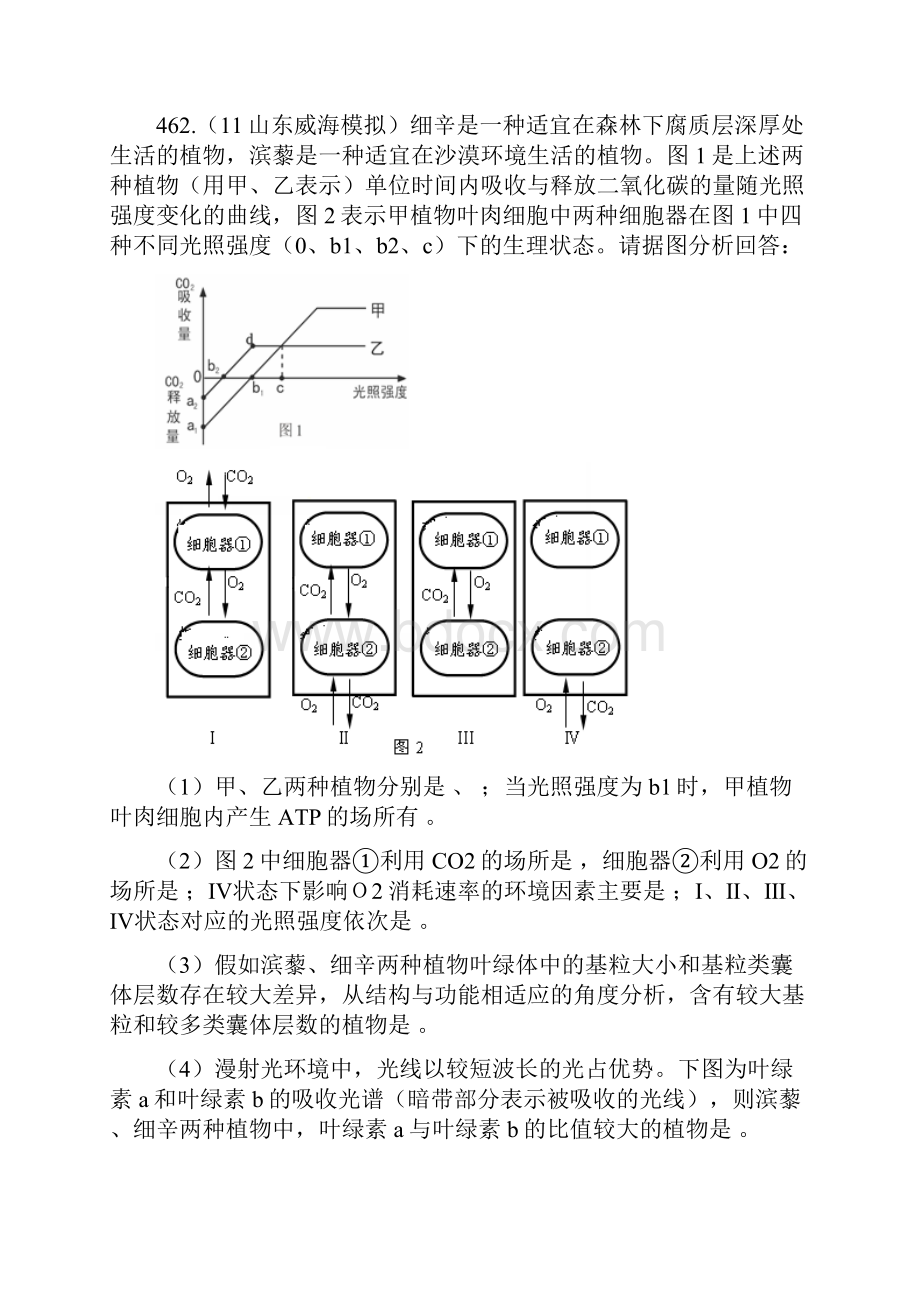 最新届高三生物试题大集合 光合作用24 精品.docx_第2页