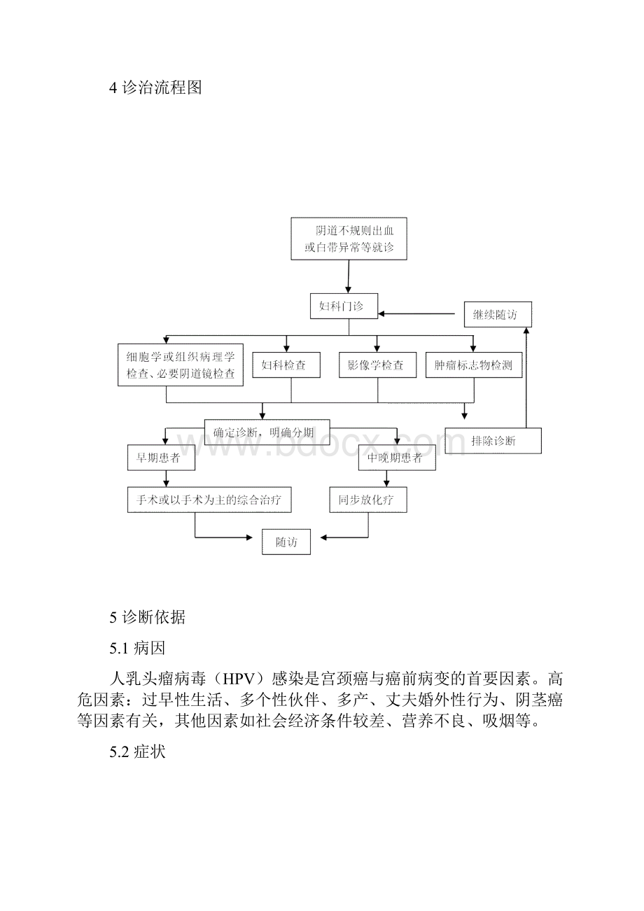 宫颈癌及癌前病变规范化诊疗指南试行.docx_第2页