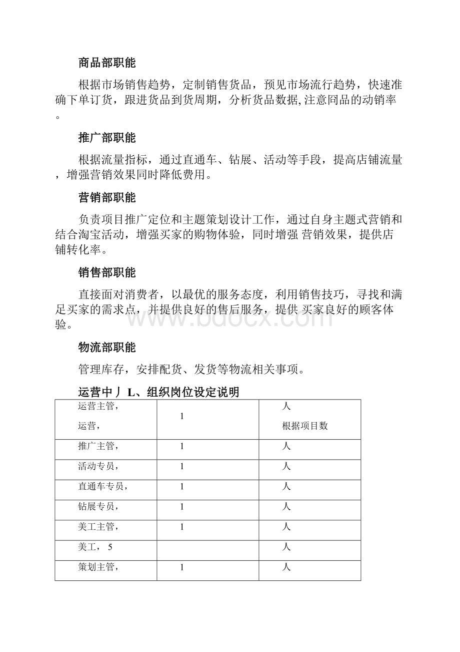 电商运营中心组织架构及岗位职责.docx_第2页