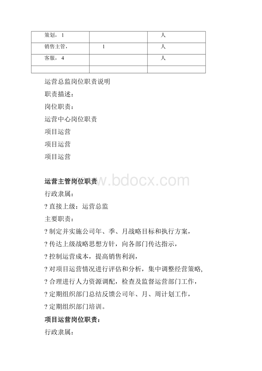 电商运营中心组织架构及岗位职责.docx_第3页