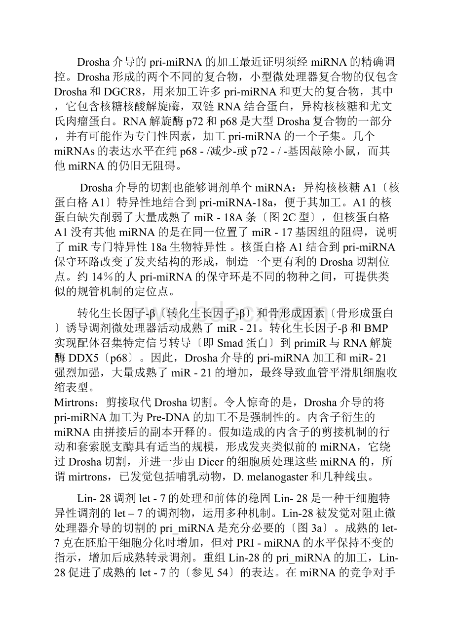 到期许多道路小分子RNA生物合成途径及其调控.docx_第3页